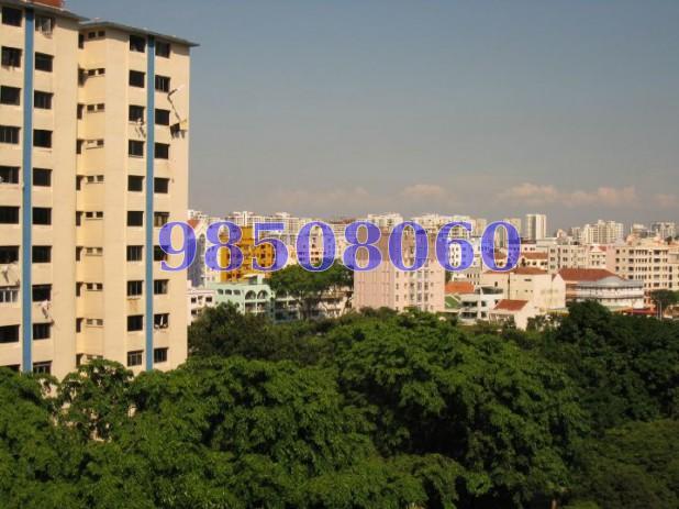 Canne Lodge (D14), Apartment #62554632
